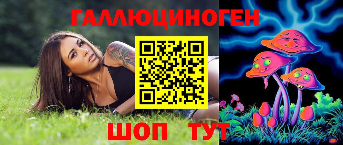 Галлюциногенные грибы Psilocybe Артёмовский